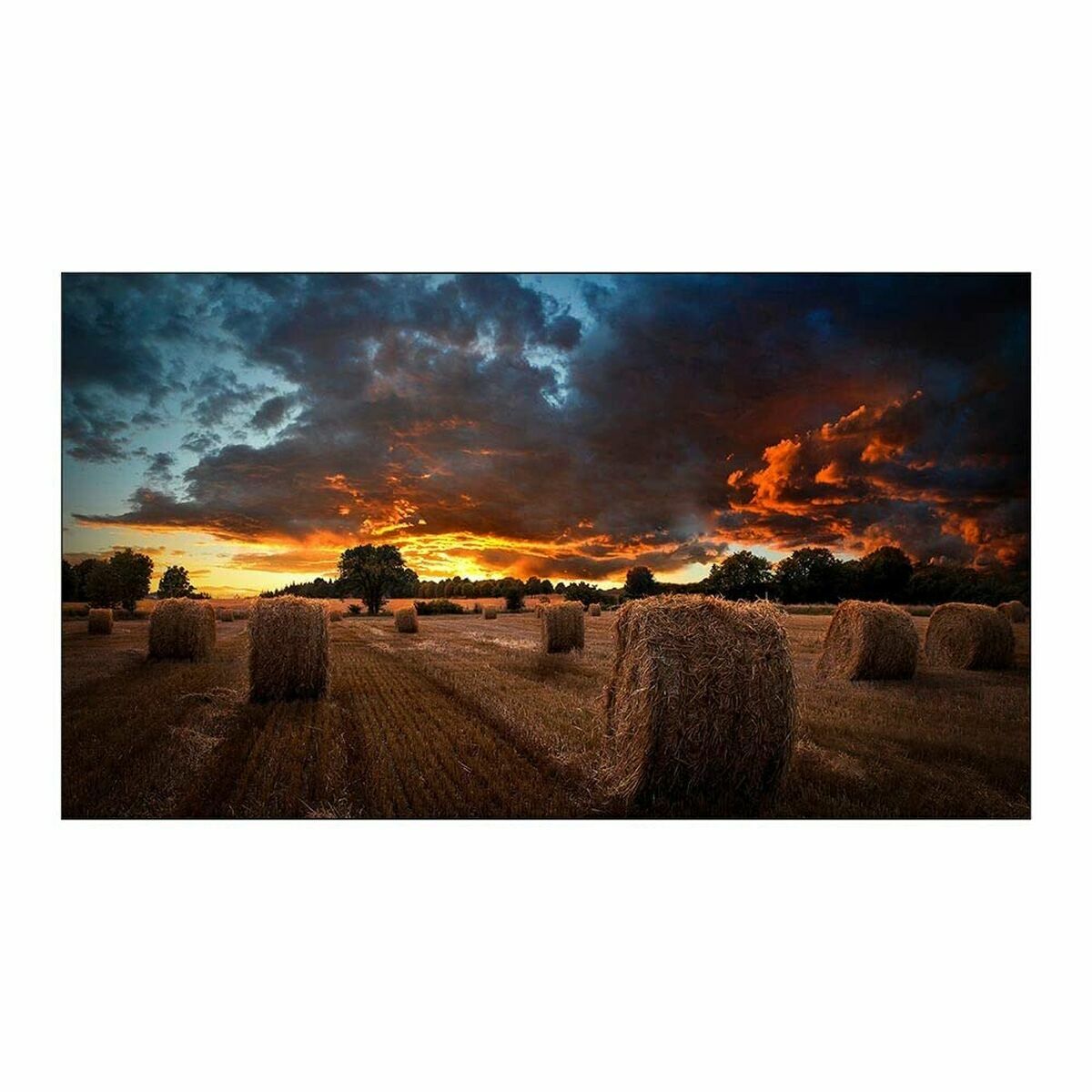 Videowall Samsung VM55B-U Full HD 55 50-60 Hz monitor-3