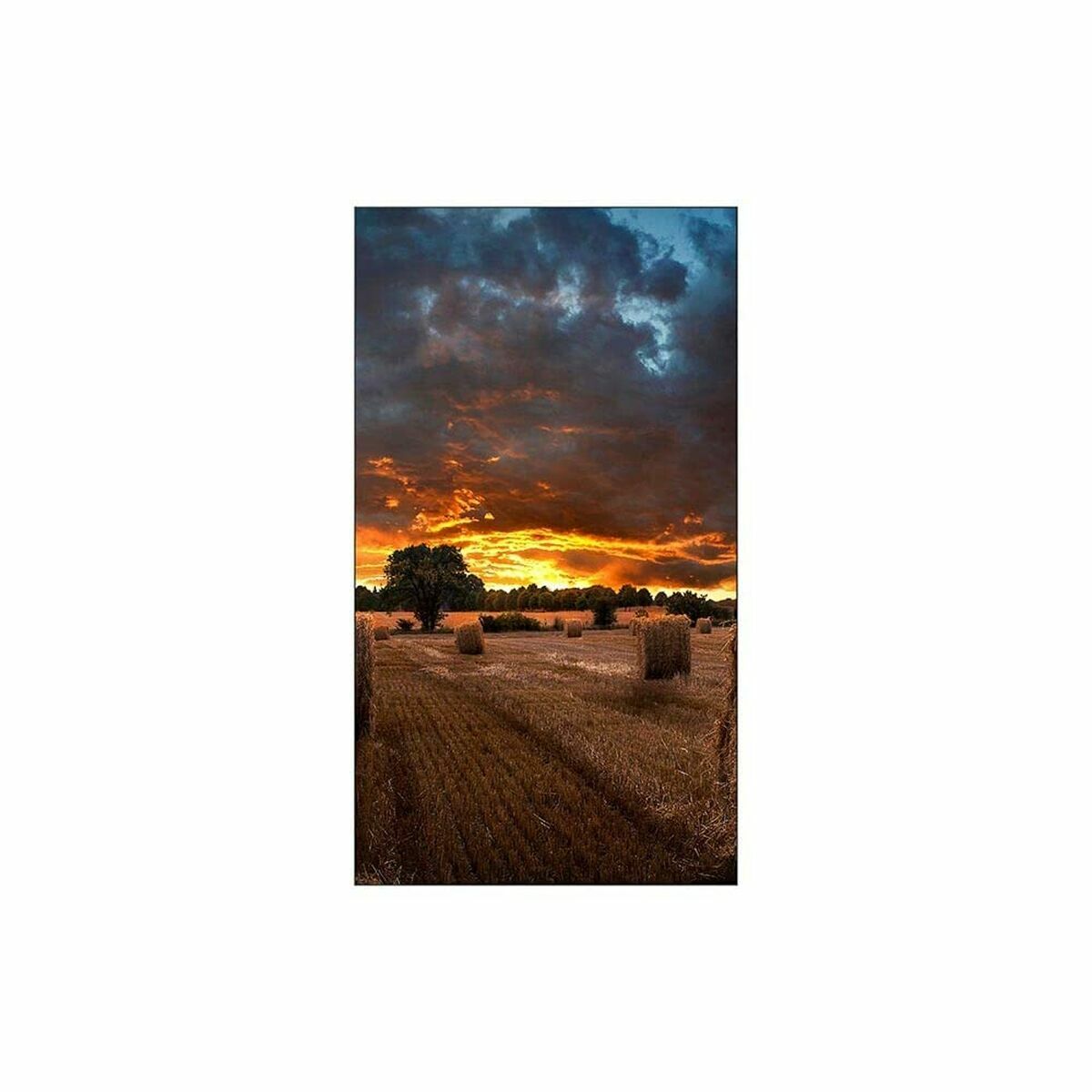 Videowall Samsung VM55B-U Full HD 55 50-60 Hz monitor-5