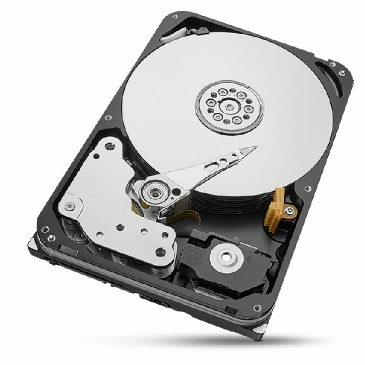 Seagate 3.5 20 TB Sabit Sürücü