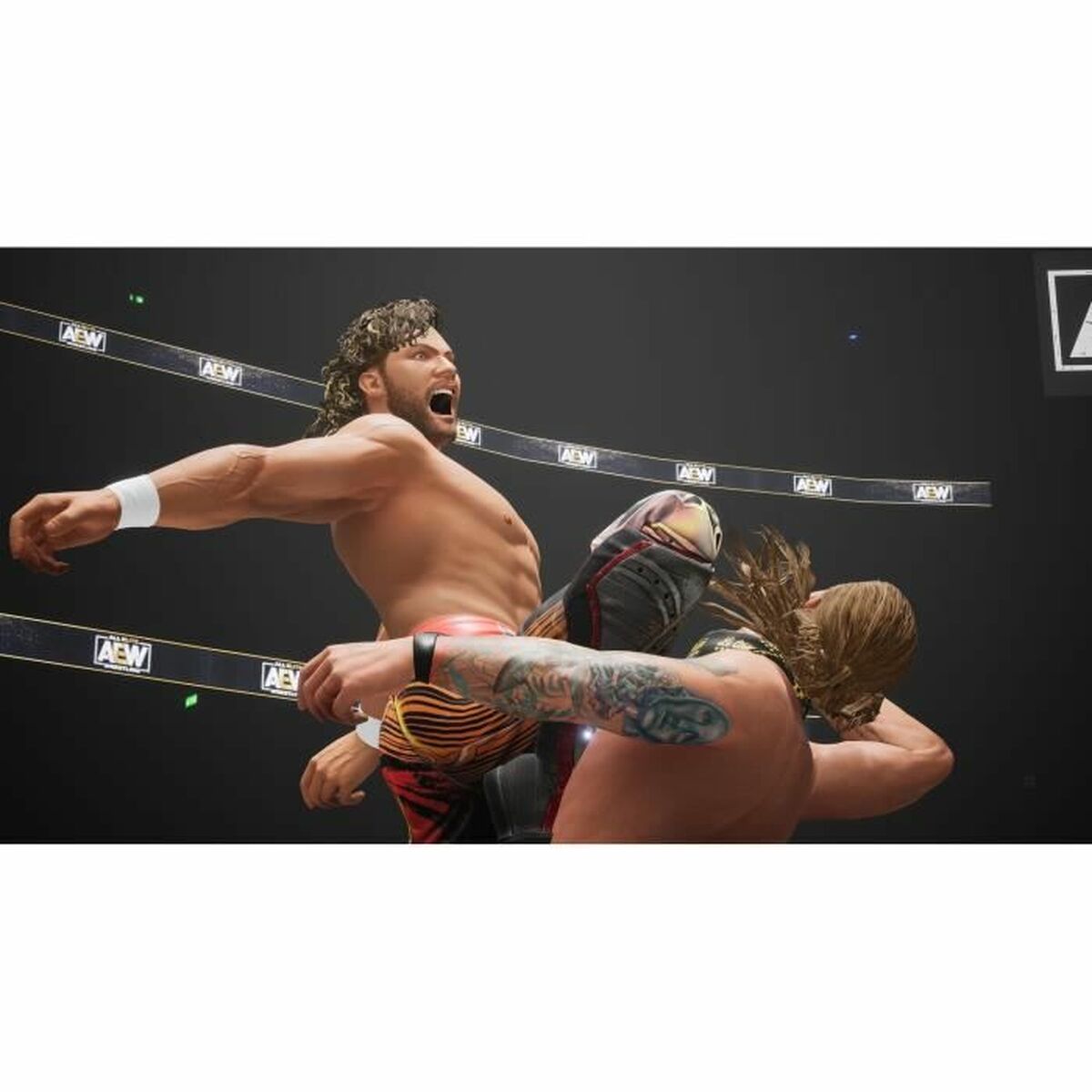 Видеоигры PlayStation 5 THQ Nordic AEW All Elite Wrestling Fight Forever-5