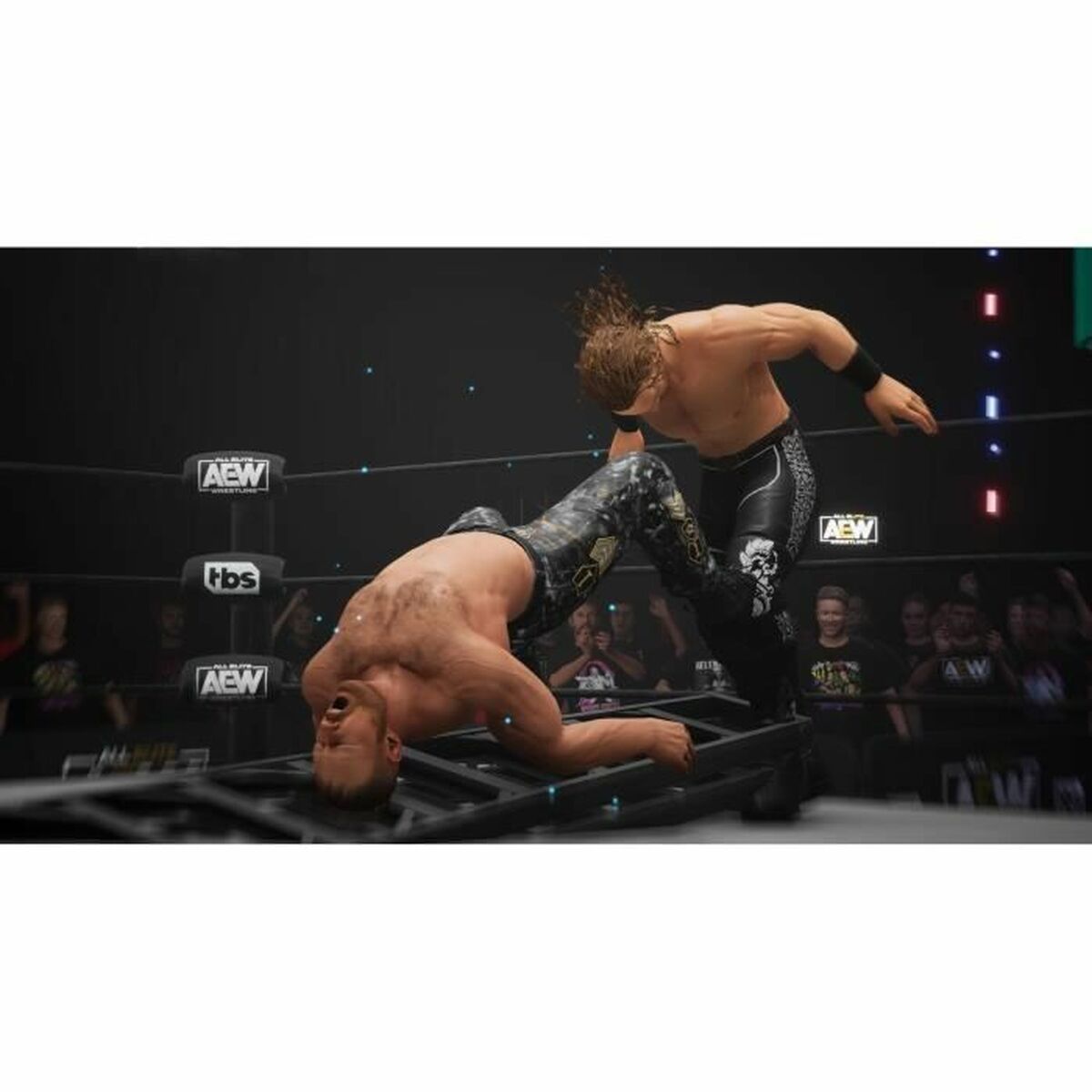 Видеоигры PlayStation 5 THQ Nordic AEW All Elite Wrestling Fight Forever-6