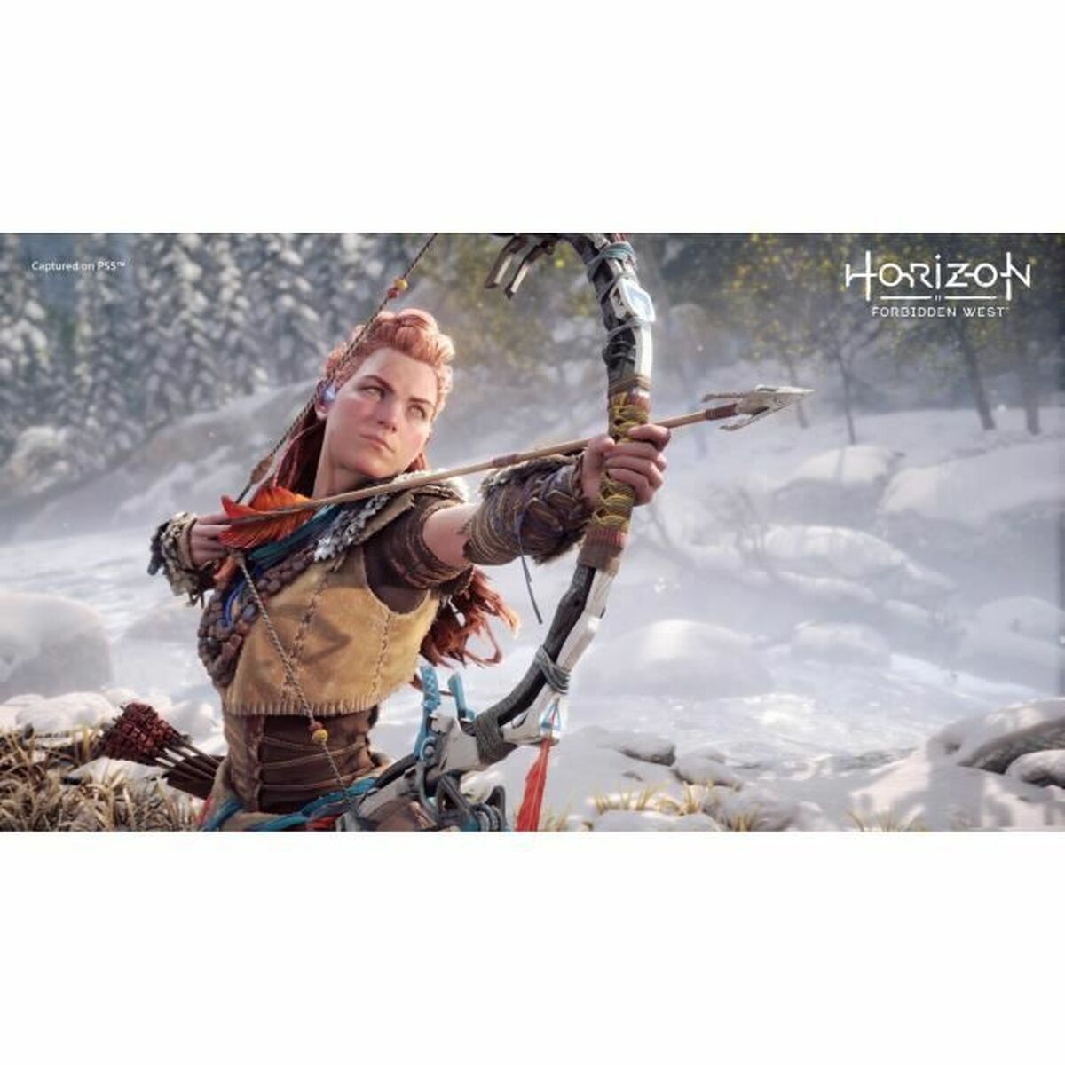 Видеоигры PlayStation 4 Guerrilla Games Horizon: Forbidden West-3