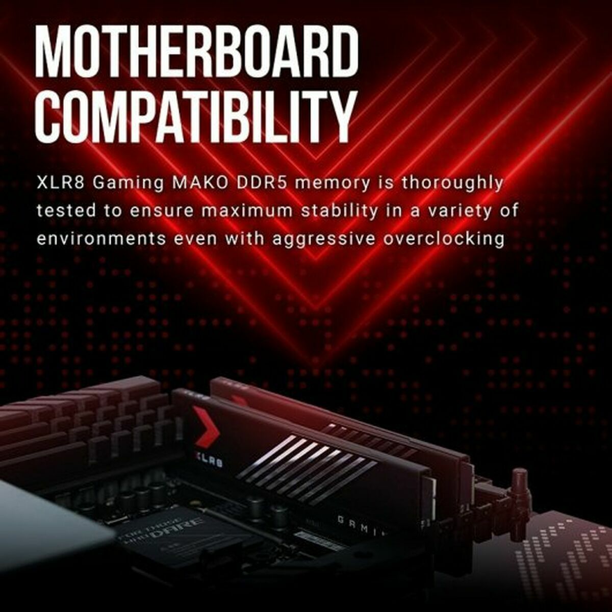 Память RAM PNY 32 GB-2