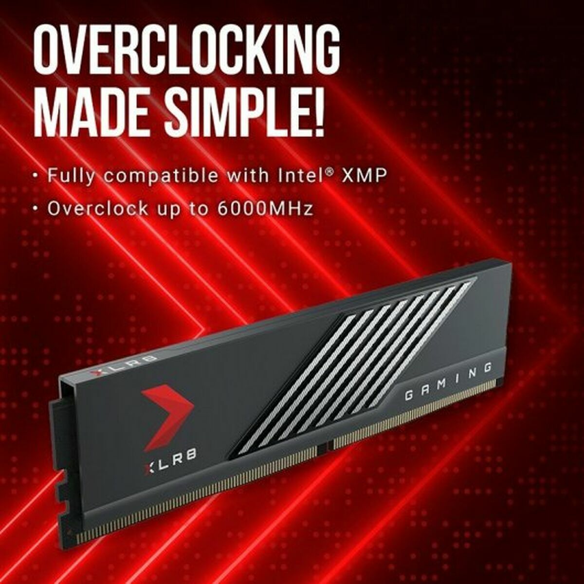 Память RAM PNY 32 GB-3
