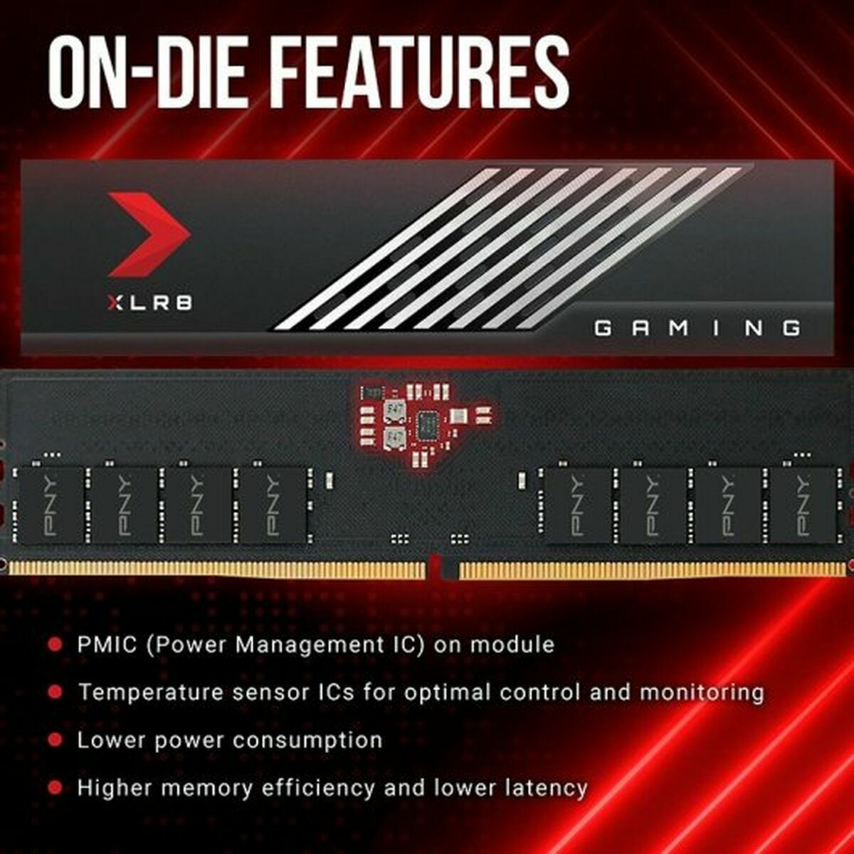 Память RAM PNY 32 GB-4