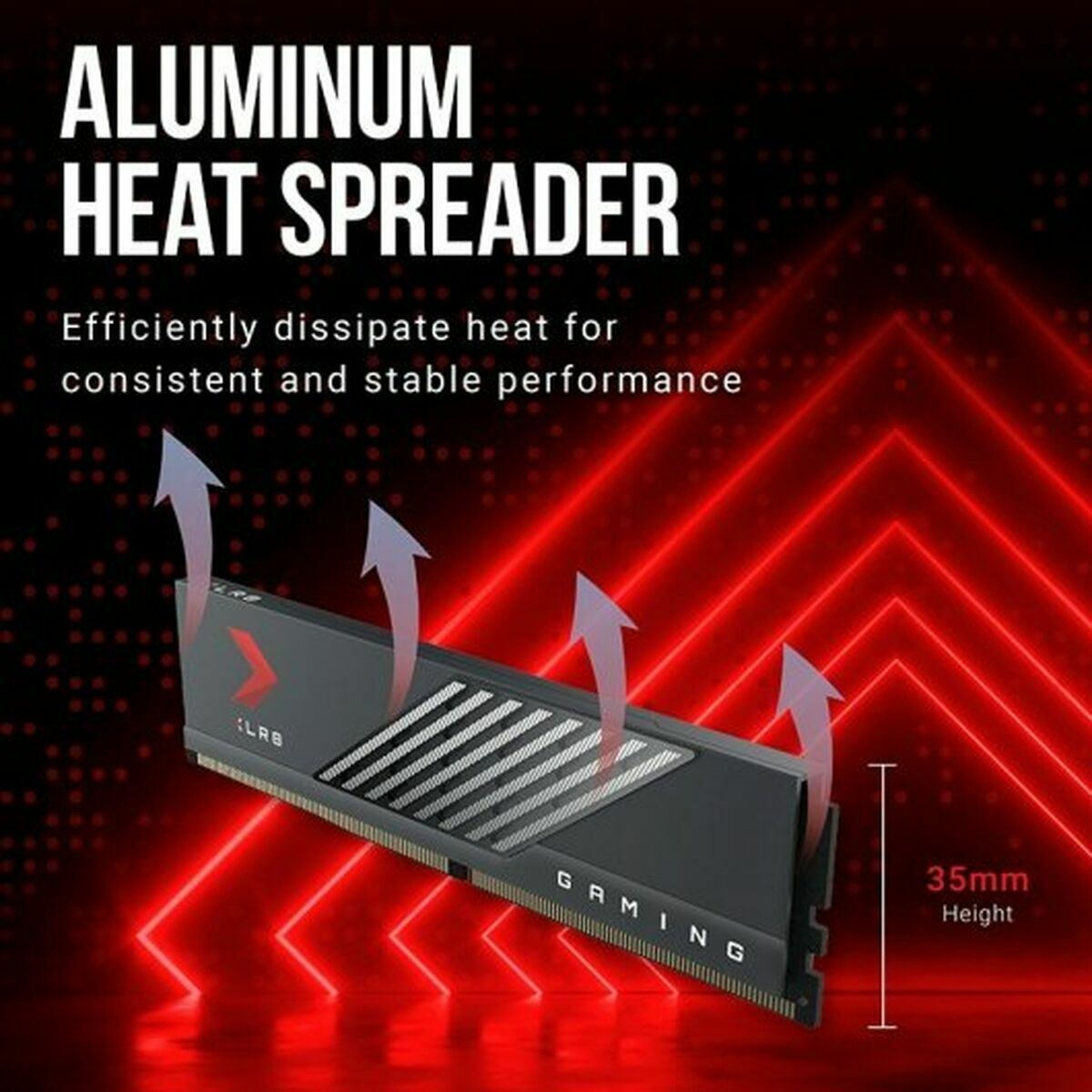 Память RAM PNY 32 GB-5