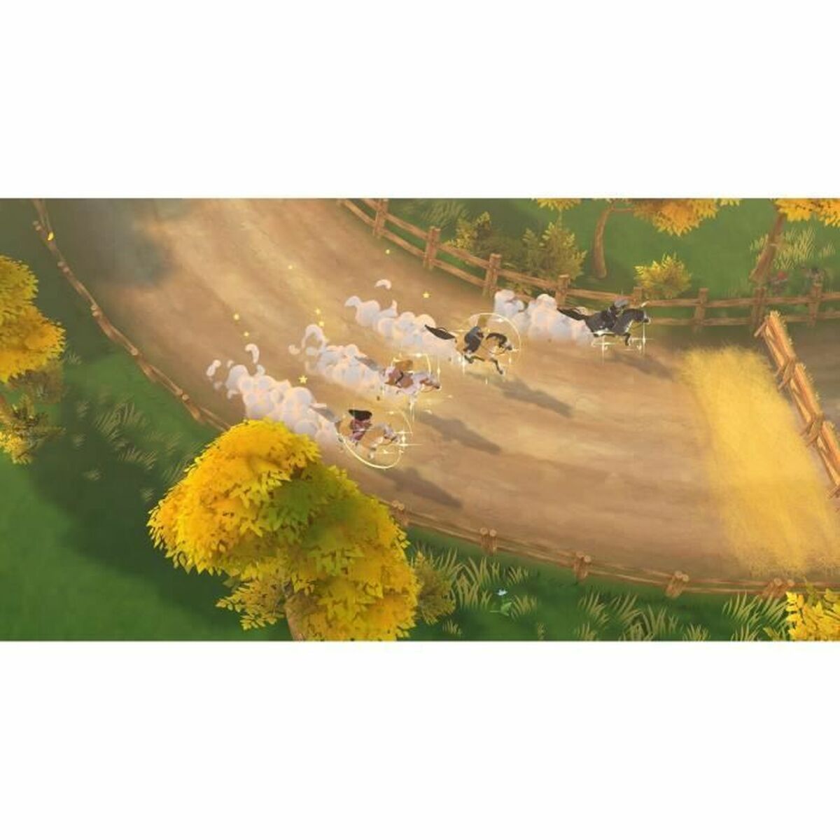 Видеоигра для Switch Microids Les Sisters 2-3