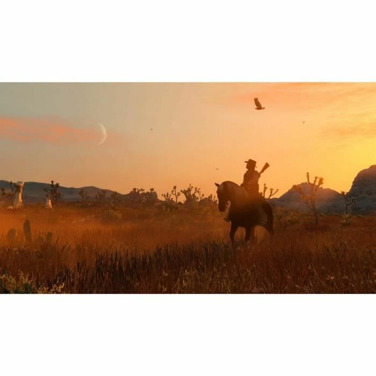 Видеоигра для Switch Rockstar Games Red Dead Redemption + Undead Nightmares (FR)-2