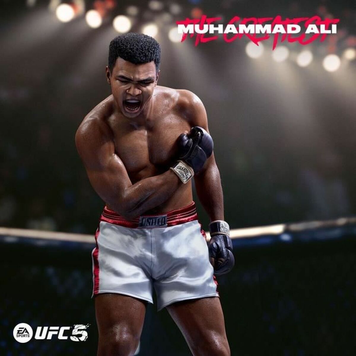 Видеоигры PlayStation 5 Electronic Arts UFC 5 2316 Предметы-4