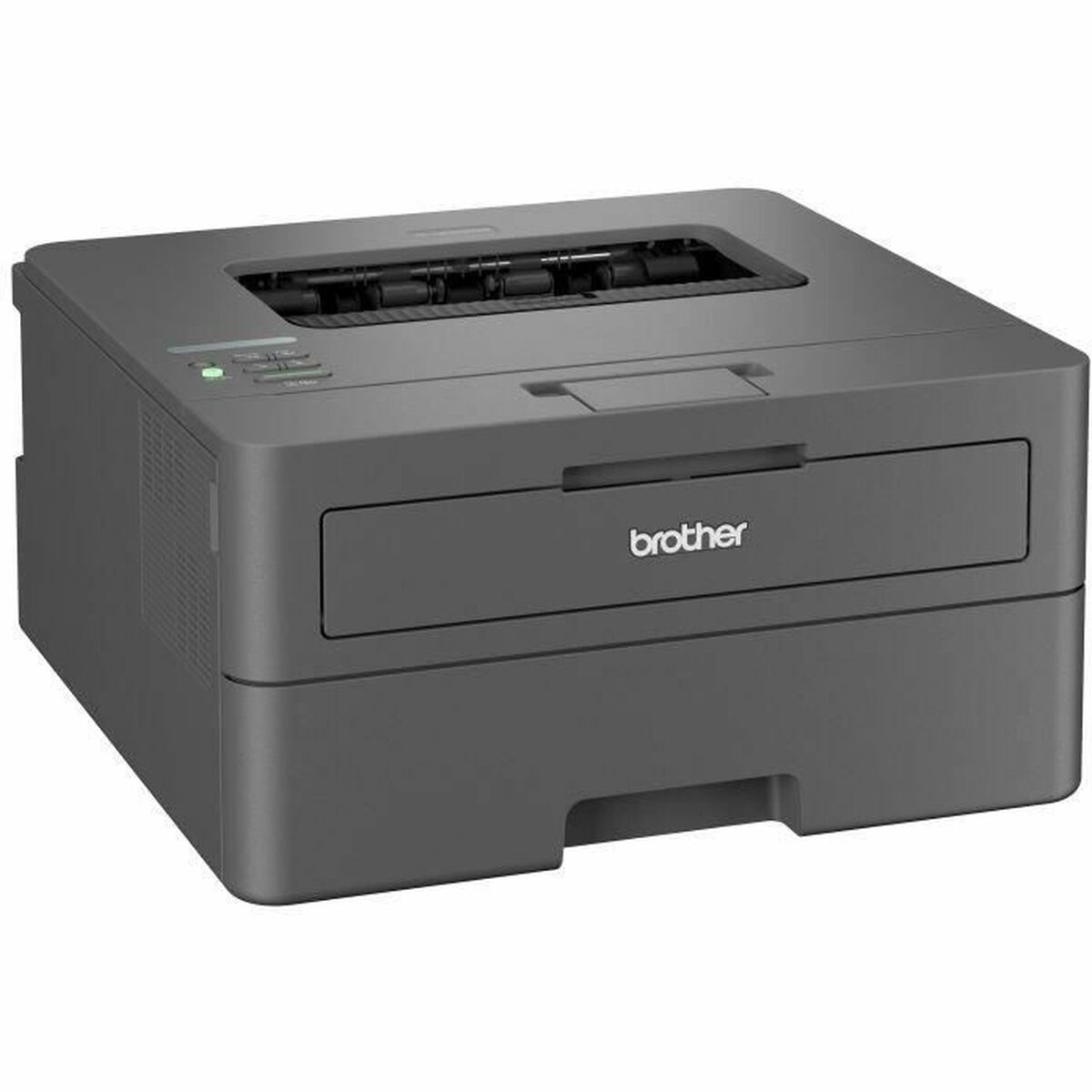 Мультифункциональный принтер Brother HL-L2400DWE-2