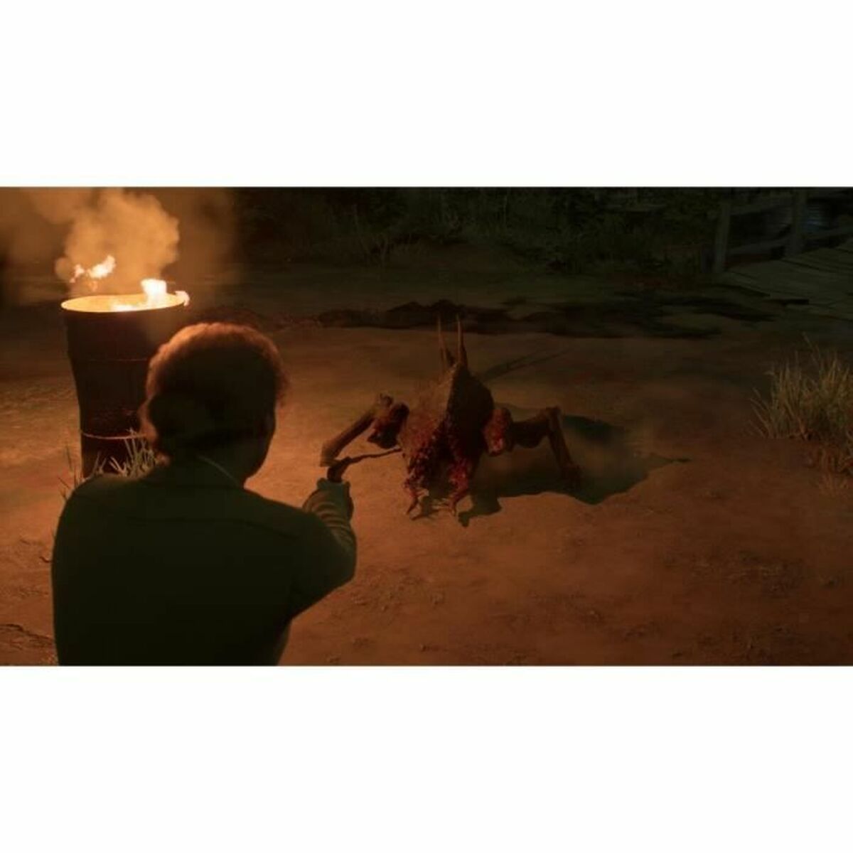 Видеоигры Xbox Series X Just For Games Alone in the Dark-6