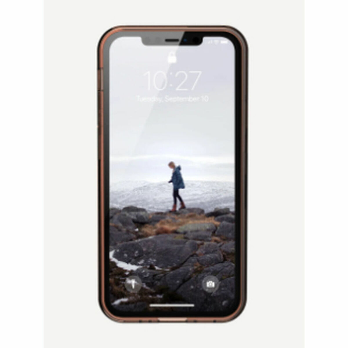 Чехол для мобильного телефона Urban Armor Gear 11234N319797 iPhone 12-2