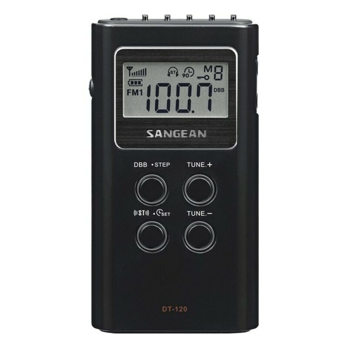 Портативное радио Sangean DT-210 Серебристый-2
