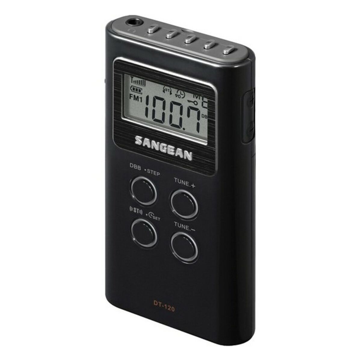 Портативное радио Sangean DT-210 Серебристый-3