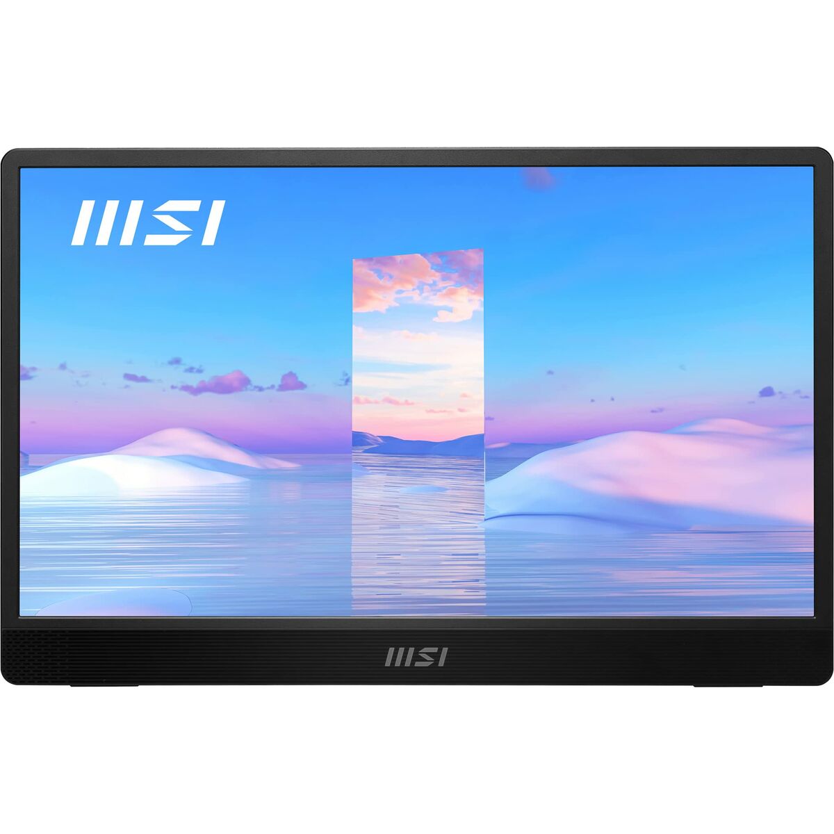 MSI Pro MP161 IPS 15.6 Tam HD Monitör