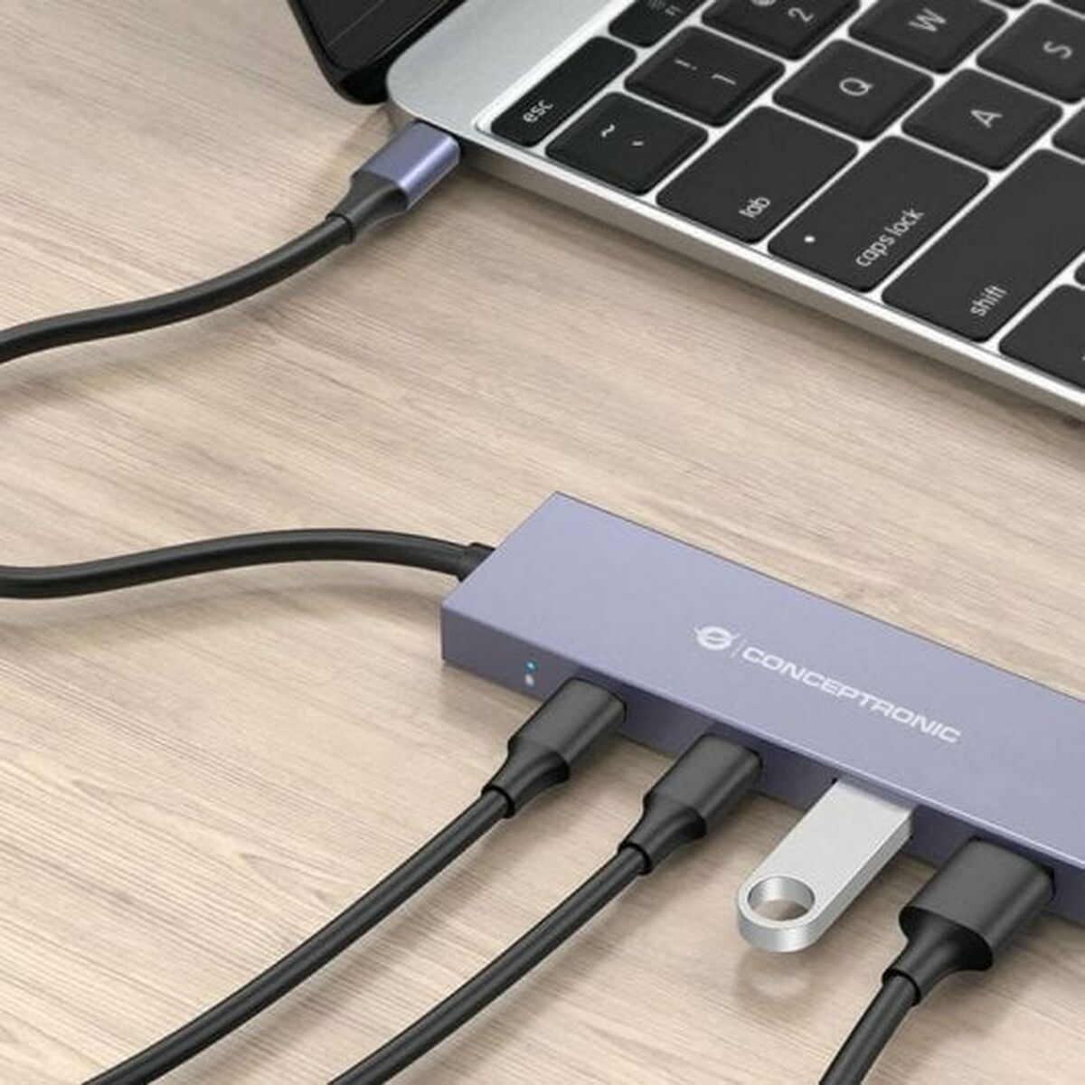USB-разветвитель Conceptronic HUBBIES13G Серый-2