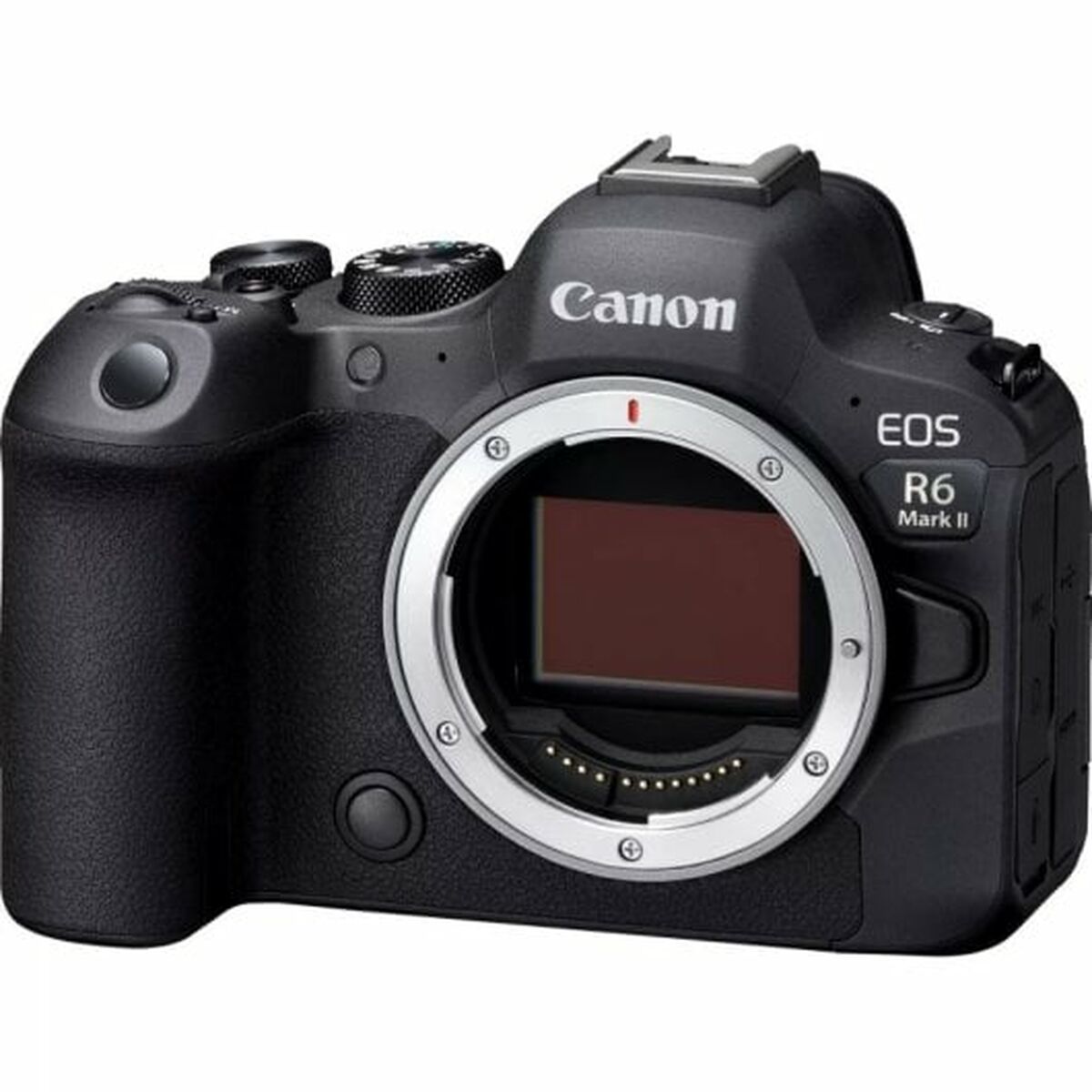 Фотокамера Canon EOS R6 MARK II V5-8