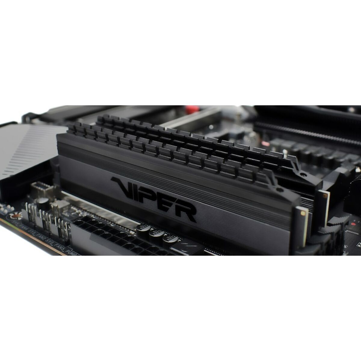 Память RAM Patriot Memory PVB416G360C8K 16 Гб-4
