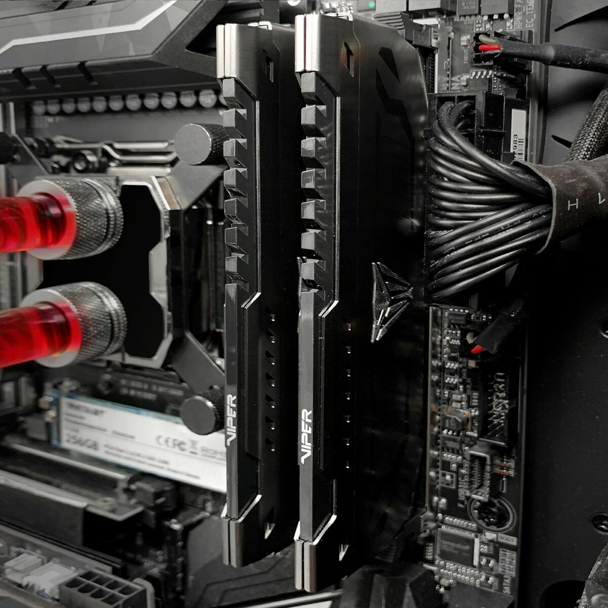 Память RAM Patriot Memory PVS48G360C8 CL15 8 Гб-8