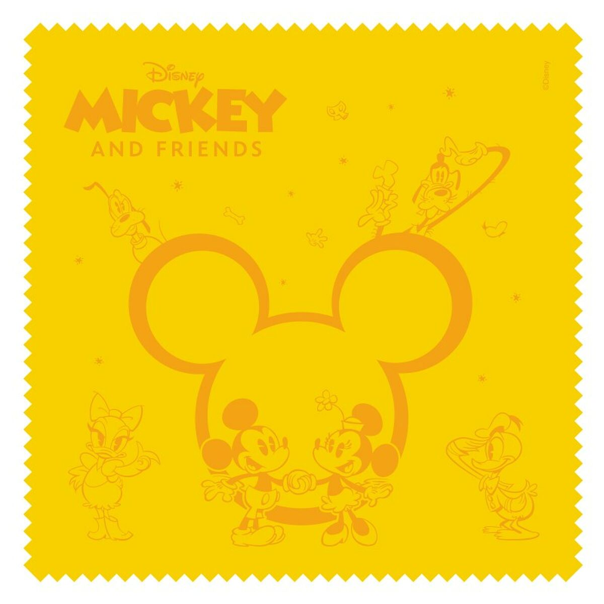 Pebble Gear screen protection PG916755M-2