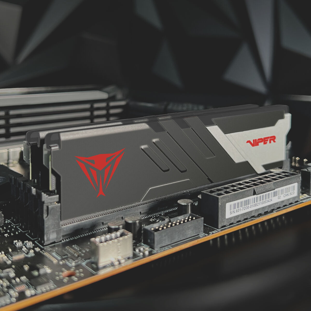 Память RAM Patriot Memory PVV532G720C34K DDR5 32 GB cl34-3