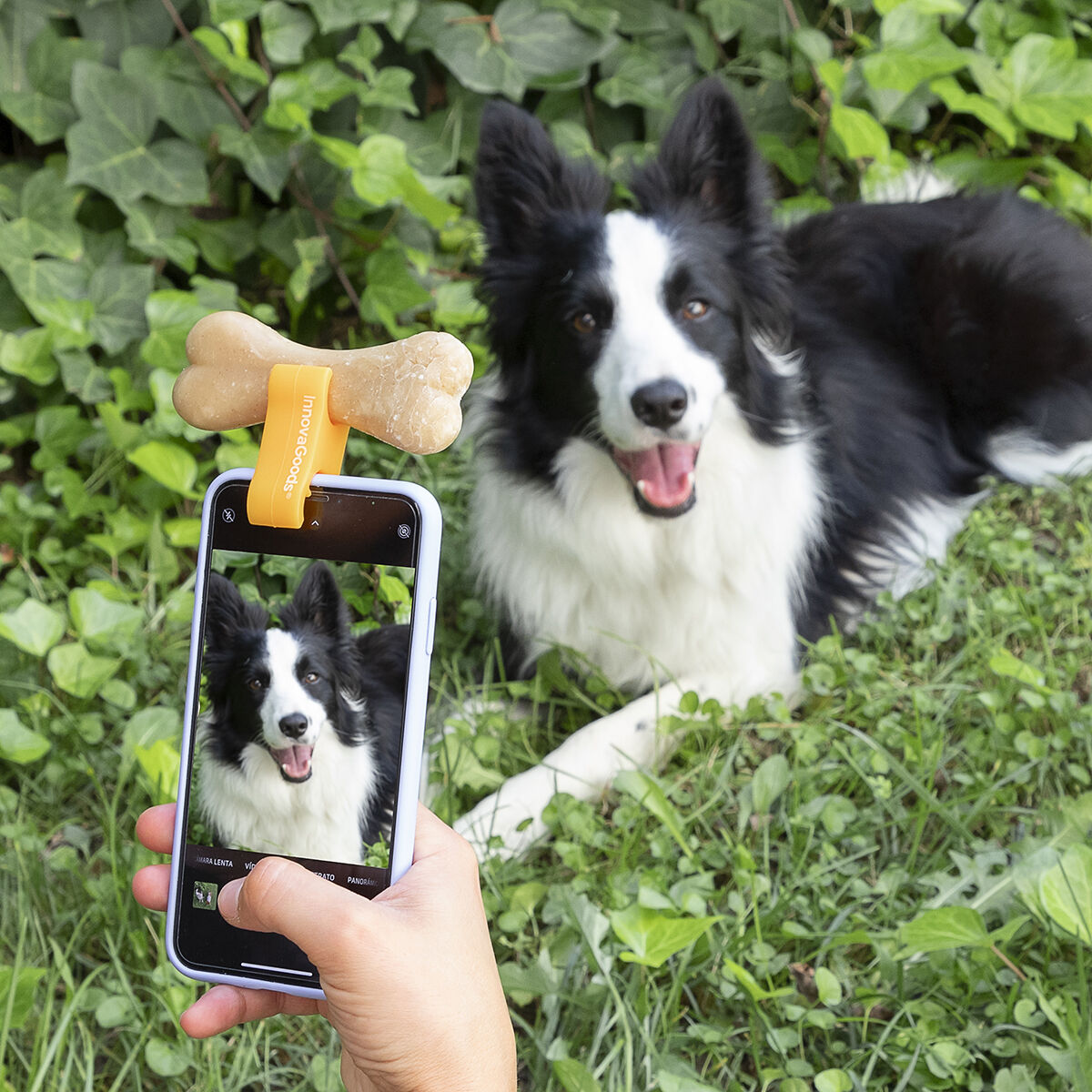 Pefie InnovaGoods pet selfie clip-5