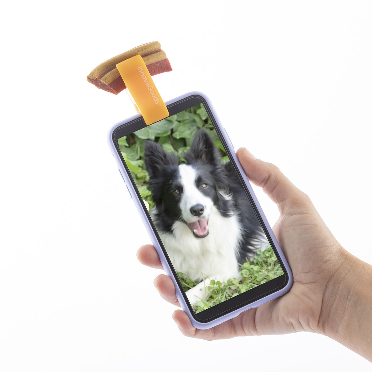 Pefie InnovaGoods pet selfie clip-6