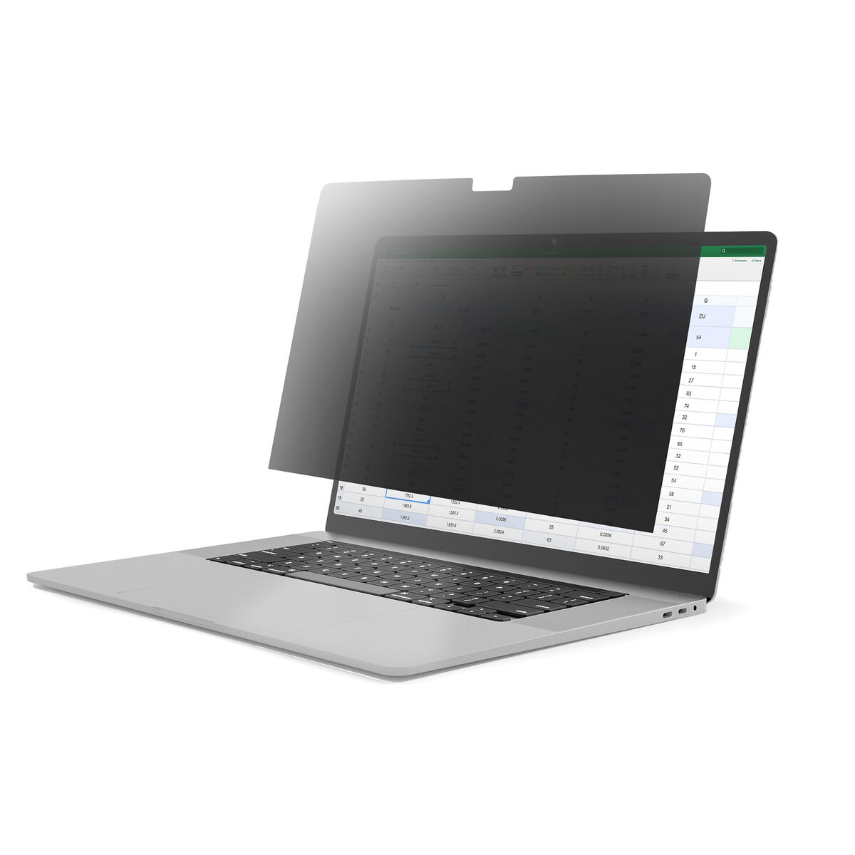 Information Privacy Filter on the Startech Monitor (Revised B)