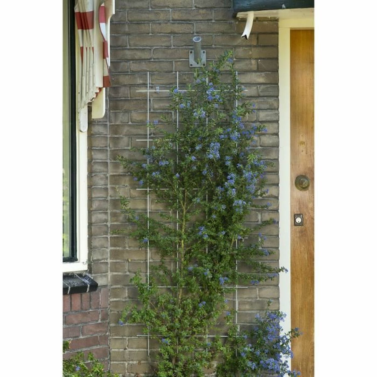 Ограждение сада Nature-2