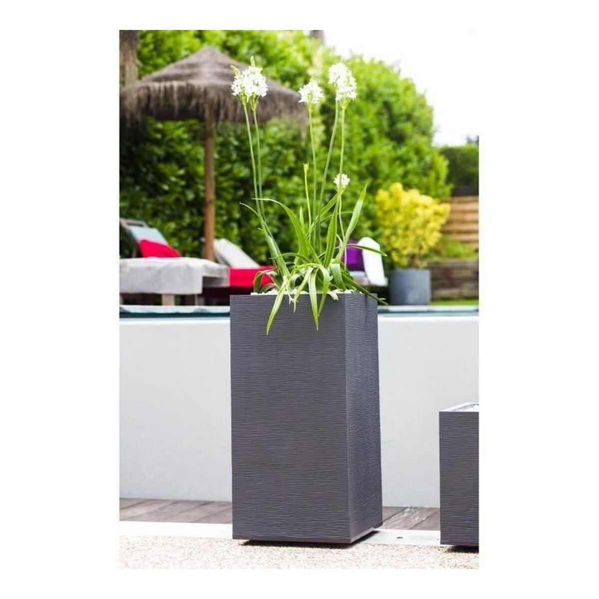 Banca EDA Graphit Grigio Grigio Grigio Plastica Quadrato 39,5 x 39,5 x 80 cm-3