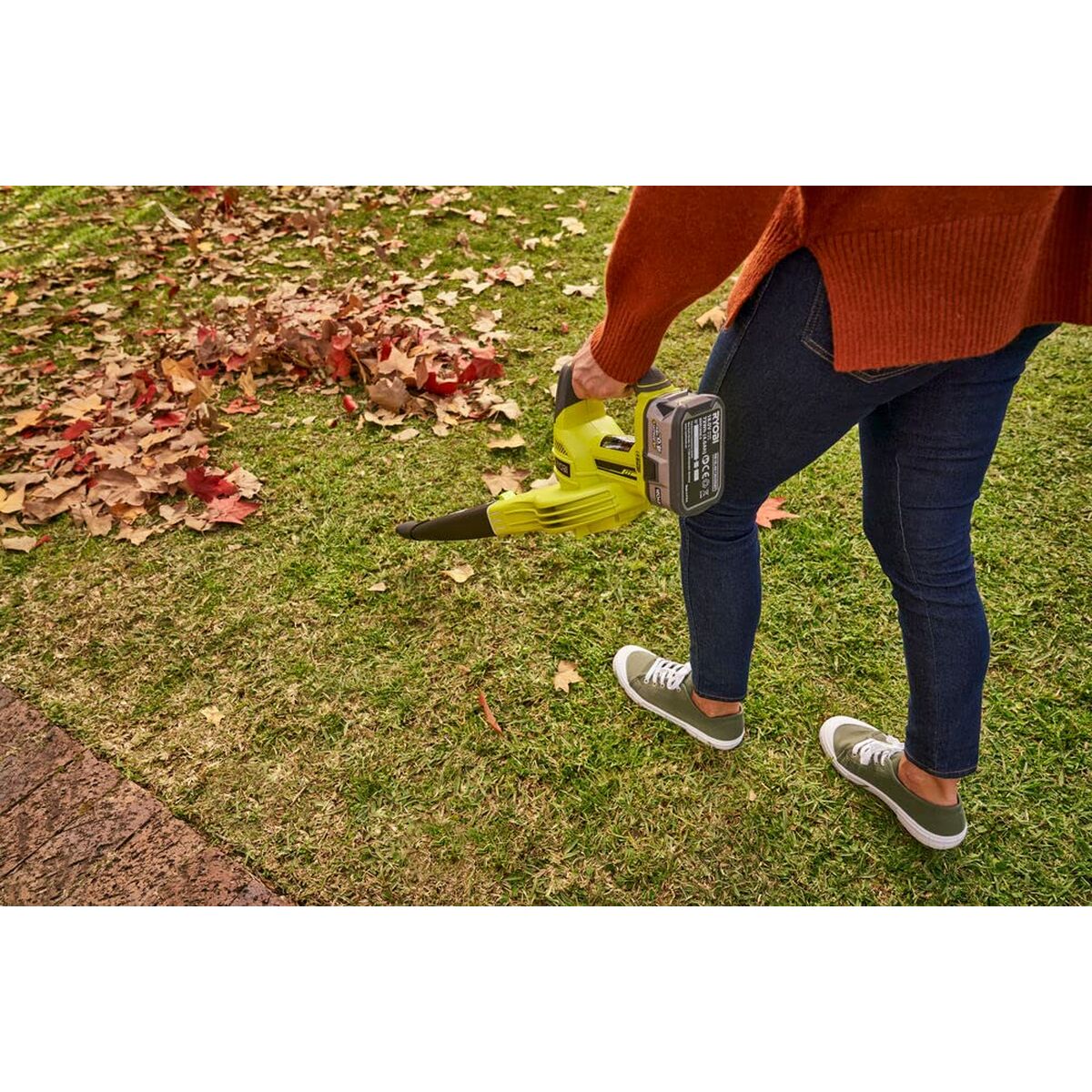 Ryobi blower Leaves-2