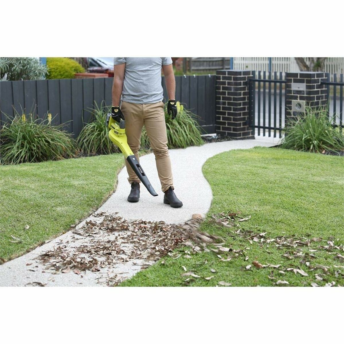 Ryobi blower Leaves-3