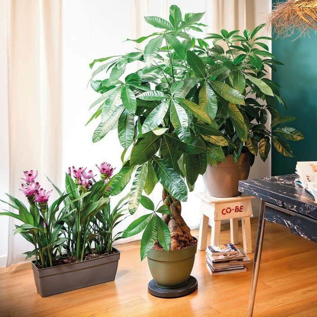 Подставка для горшка с колесами Deroma Антрацитный Переработанный Injected 100 % Переработанный-3