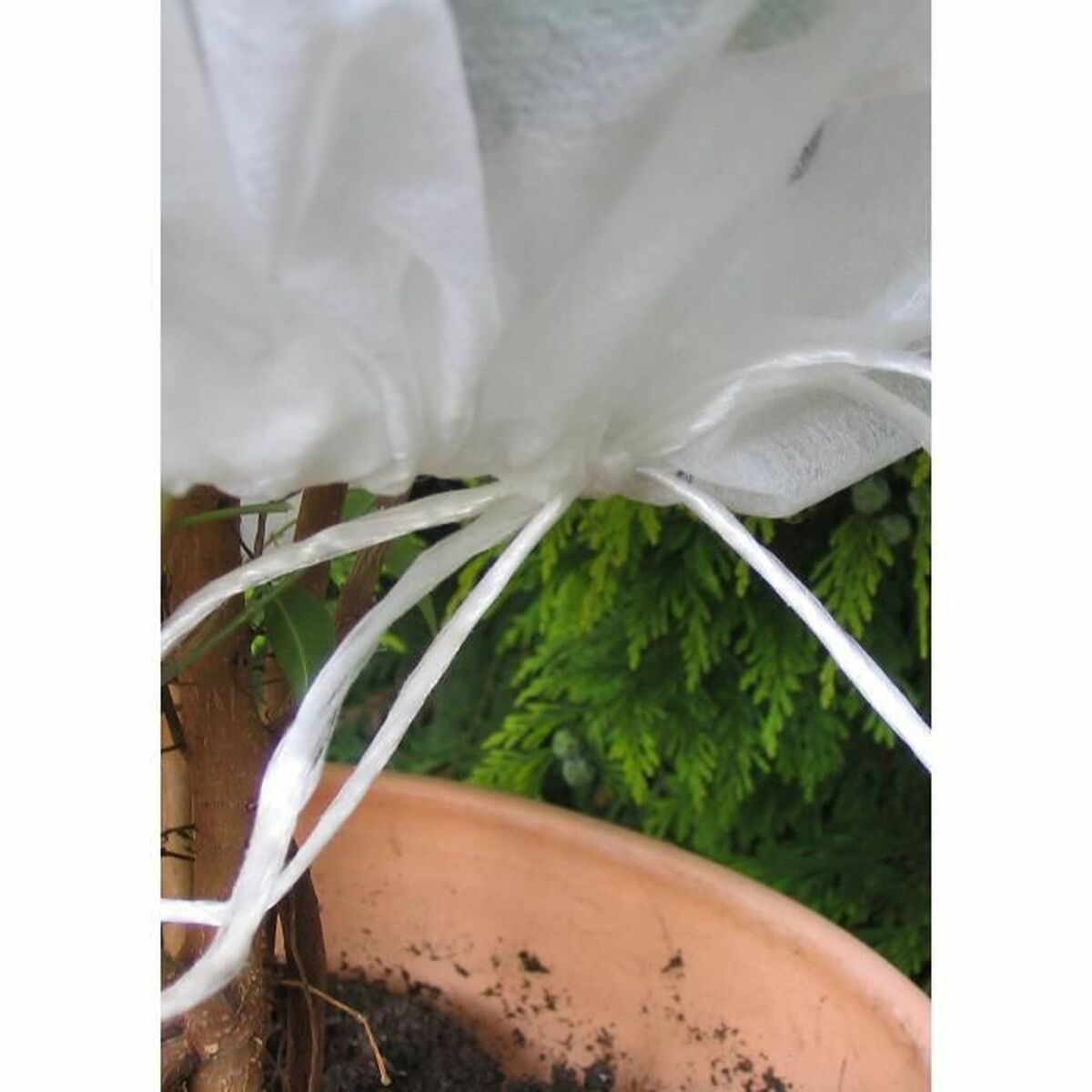 Противоморозная сетка Vilmorin 80 x 80 cm-2