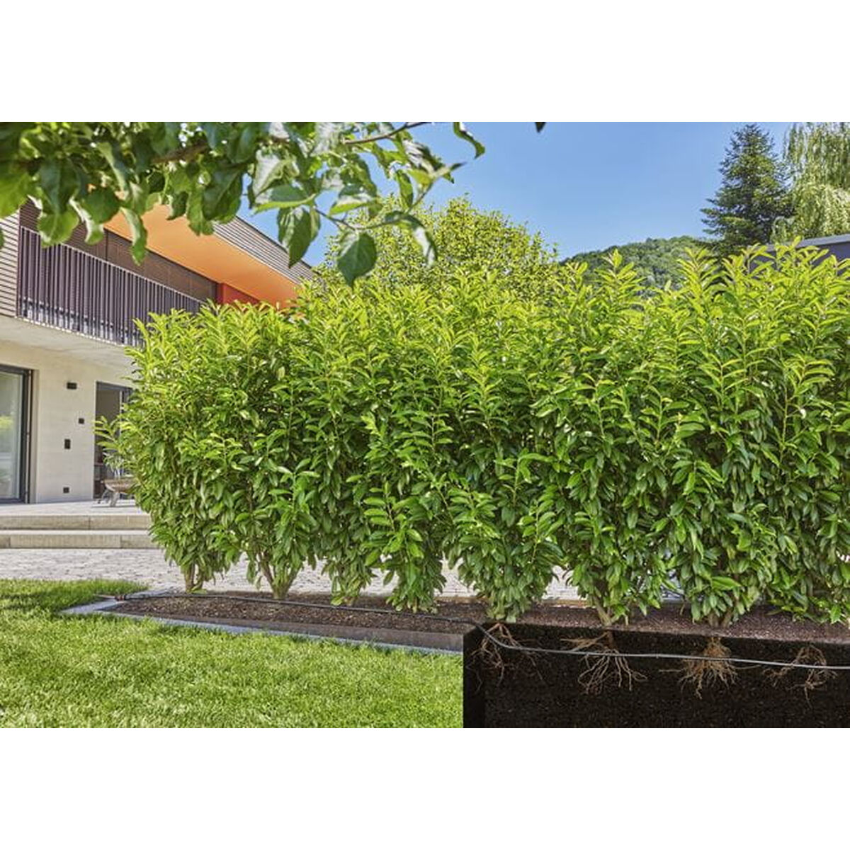 Капельная труба Gardena 13504-20 расширение 50 m-4