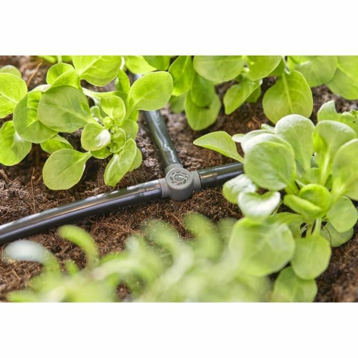 Hortum konektörü Gardena Form T 3/16 4,6 mm-2