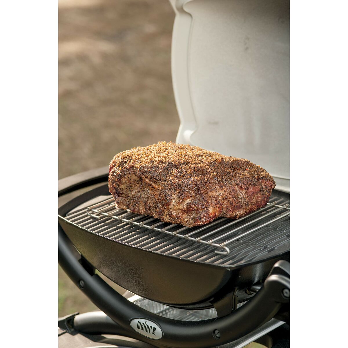 Mangal Weber Q 1000 No gás alumínio-4