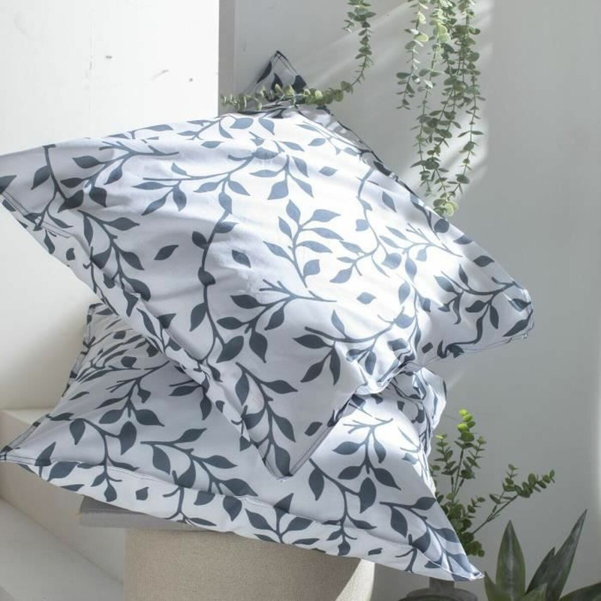 TODAY Flower Garden 260 x 240 km-3