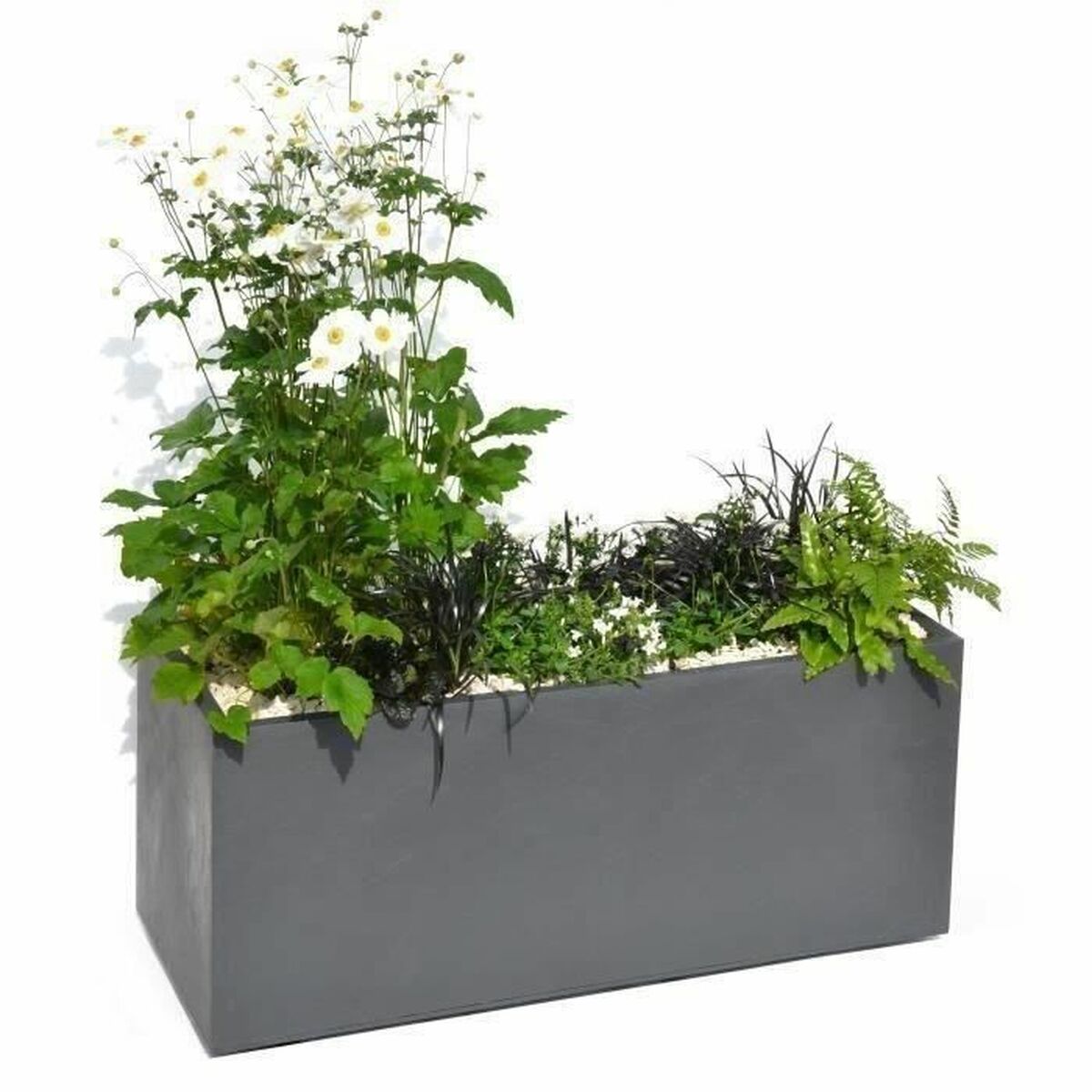 Lata EDA Plástico cinza Retangular 99,5 x 39 x 43 cm-2