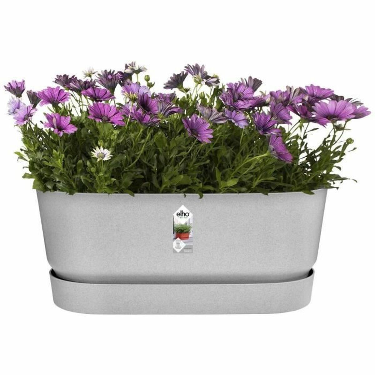 屋外の植物箱Elhoの灰色60 cmのプラスチック-5