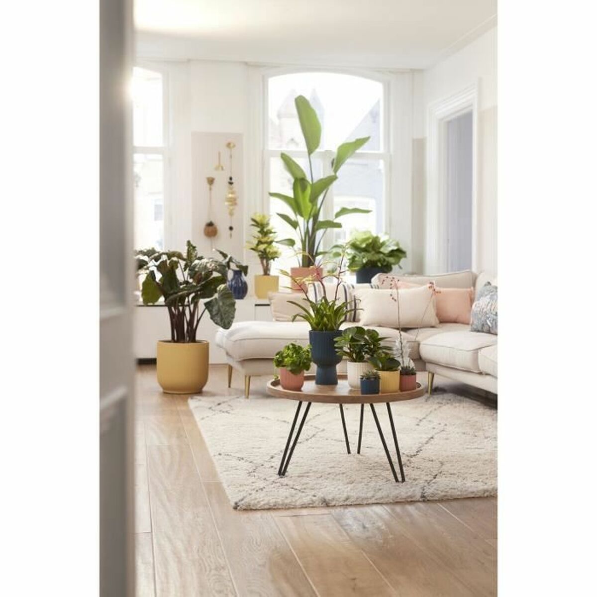 Can Elho Ø 25 cm Round Dark Blue Plastic-2