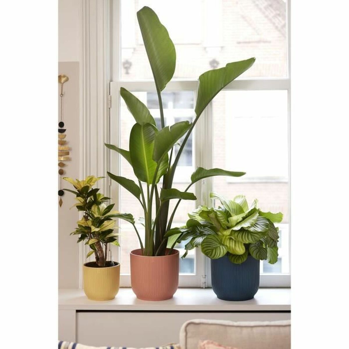 Банка Elho Розовый Пластик Круглый Круглая современный Ø 25 cm-2