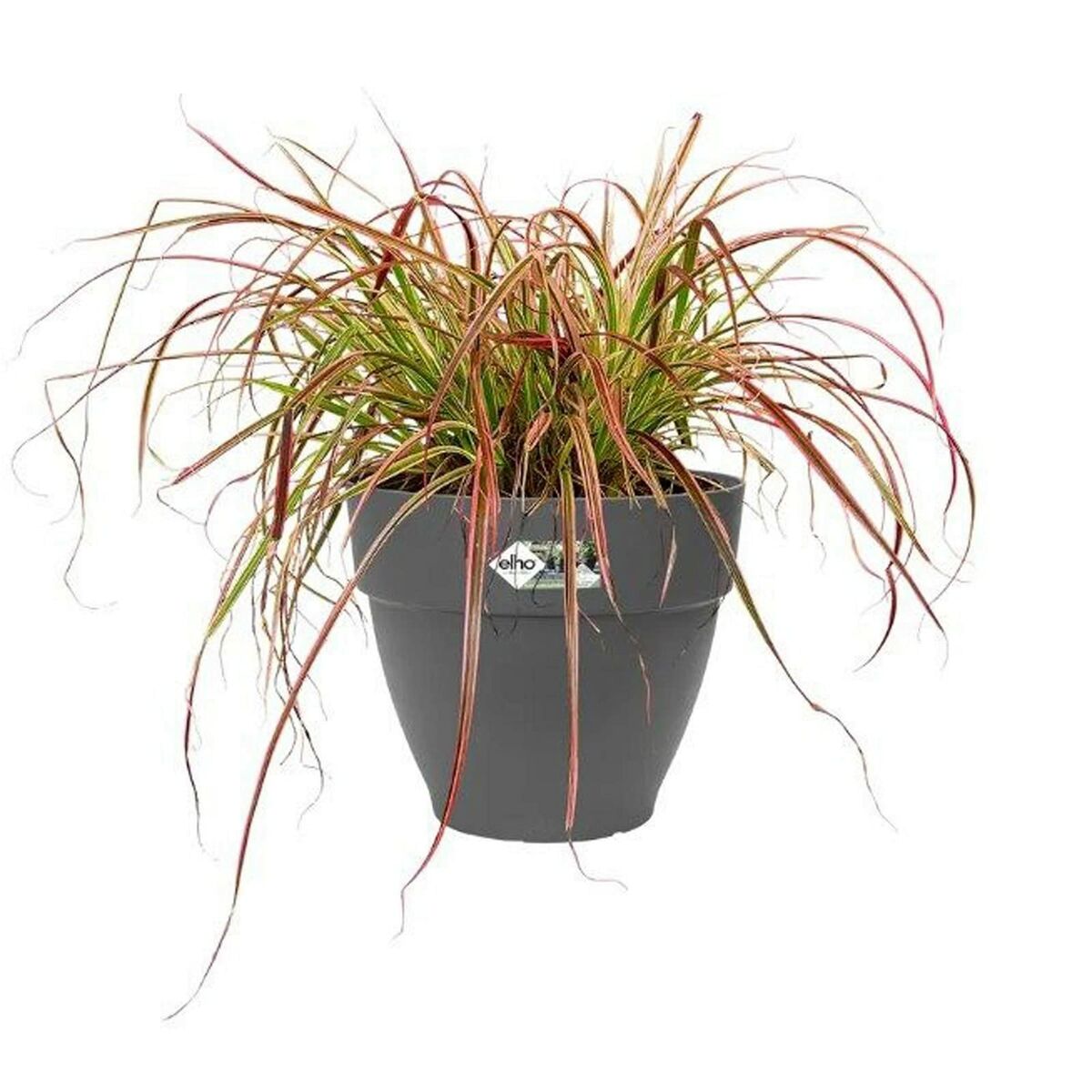 Can Elho Ø 55 cm Black Plastic Round Modern-2