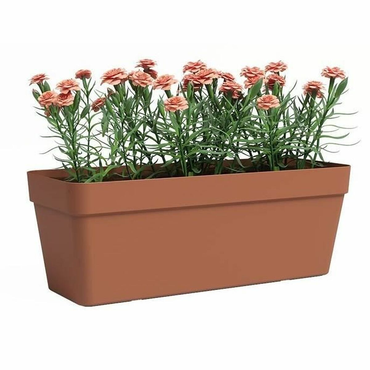 Artevasi terracot 49'un kutusu. 9 x 20 x 18. 1 cm-2