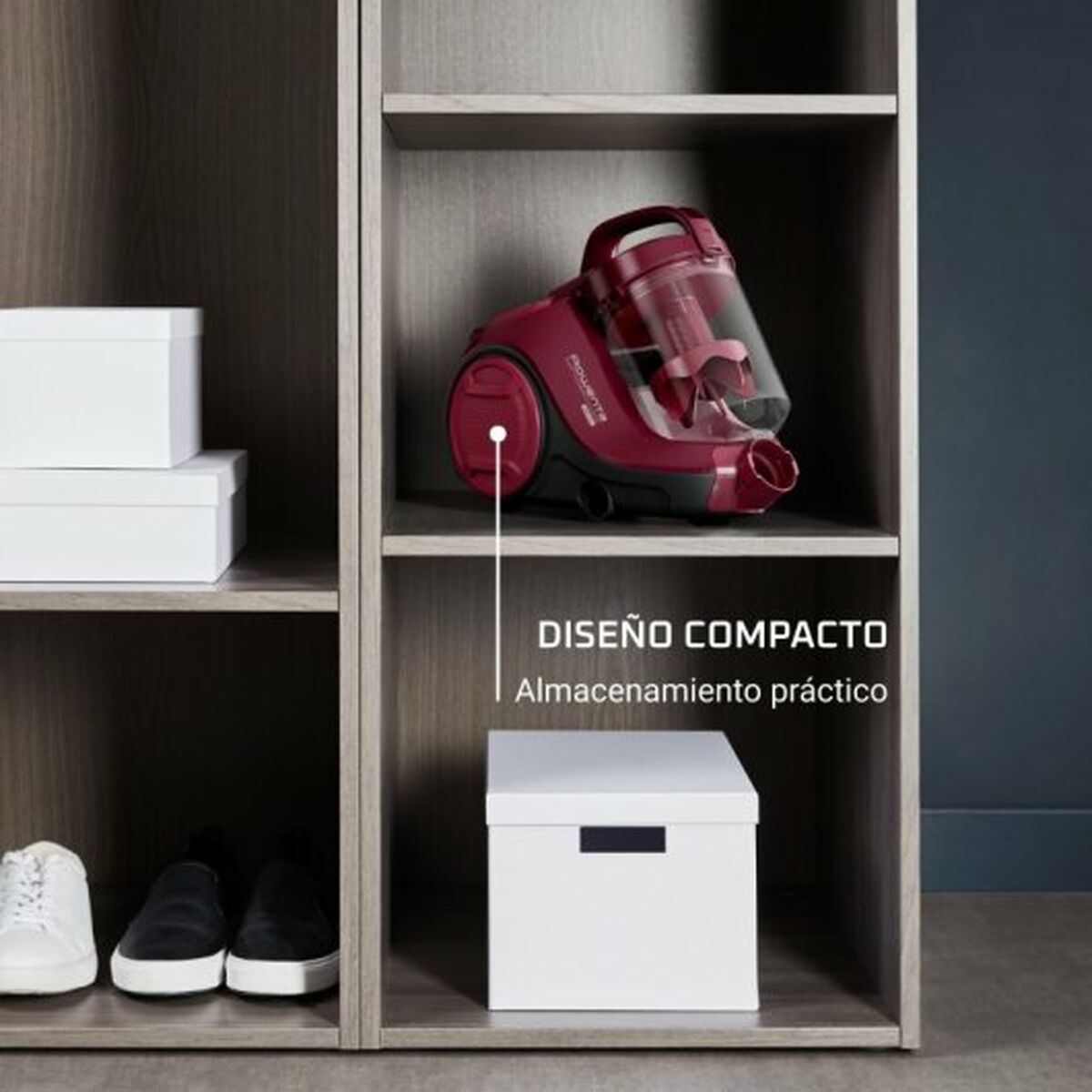 Циклонический пылесос Rowenta RO2933 750 W-6