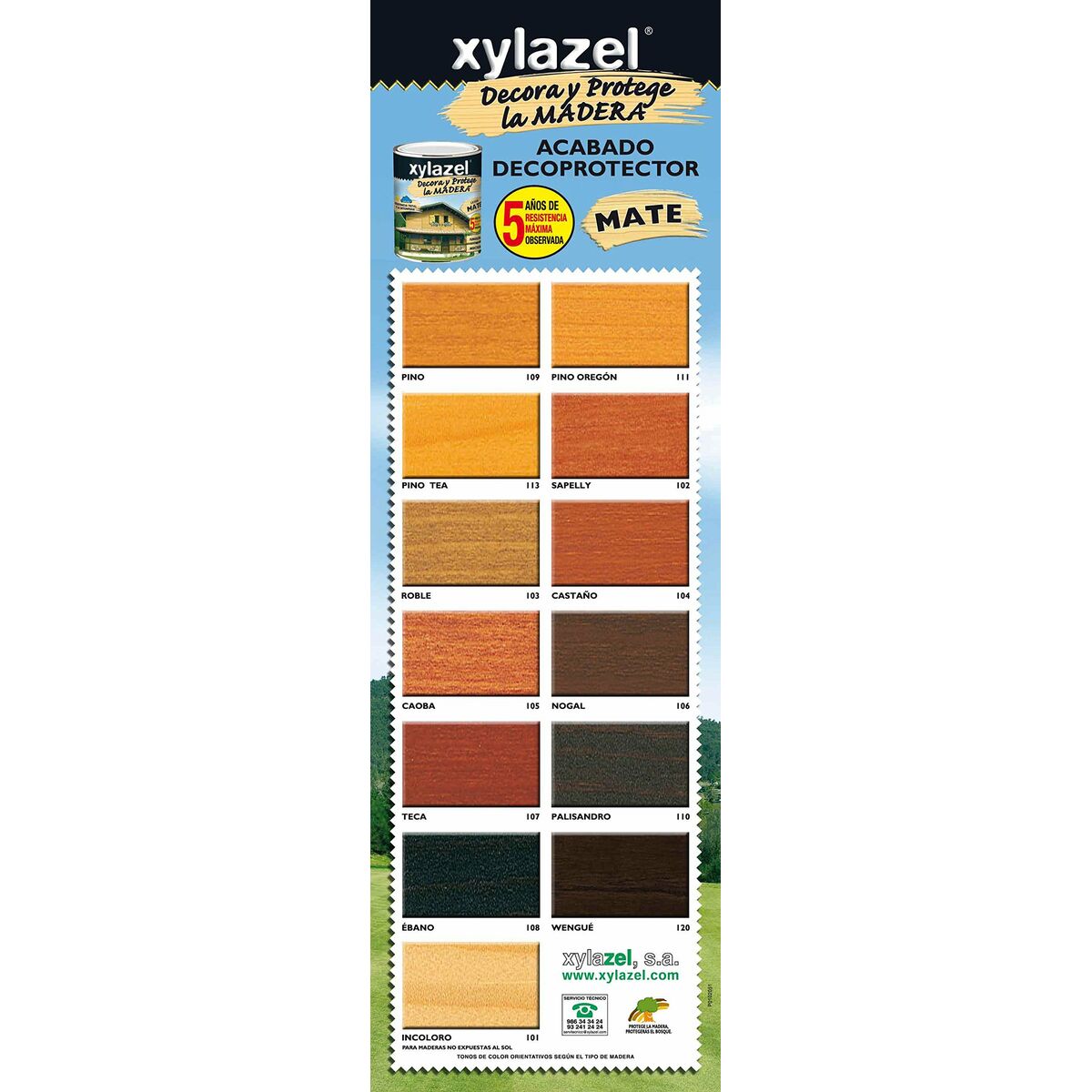 Azure Xylazel Plus Decora 750 ml matte Pine Tea-2