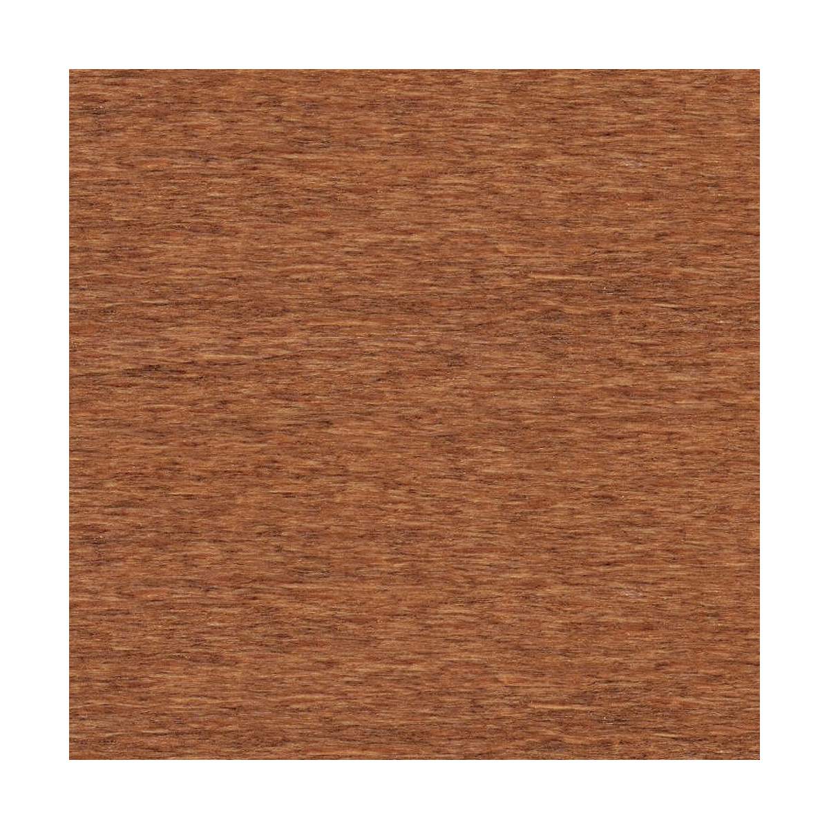 Óleo de proteção Xylazel-3