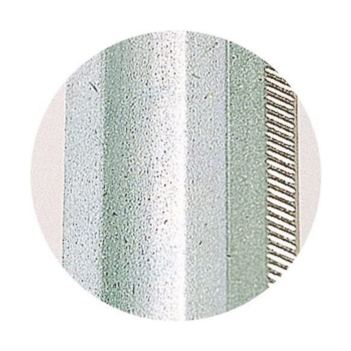 Wolfcraft öwrüm gysgyjy-4