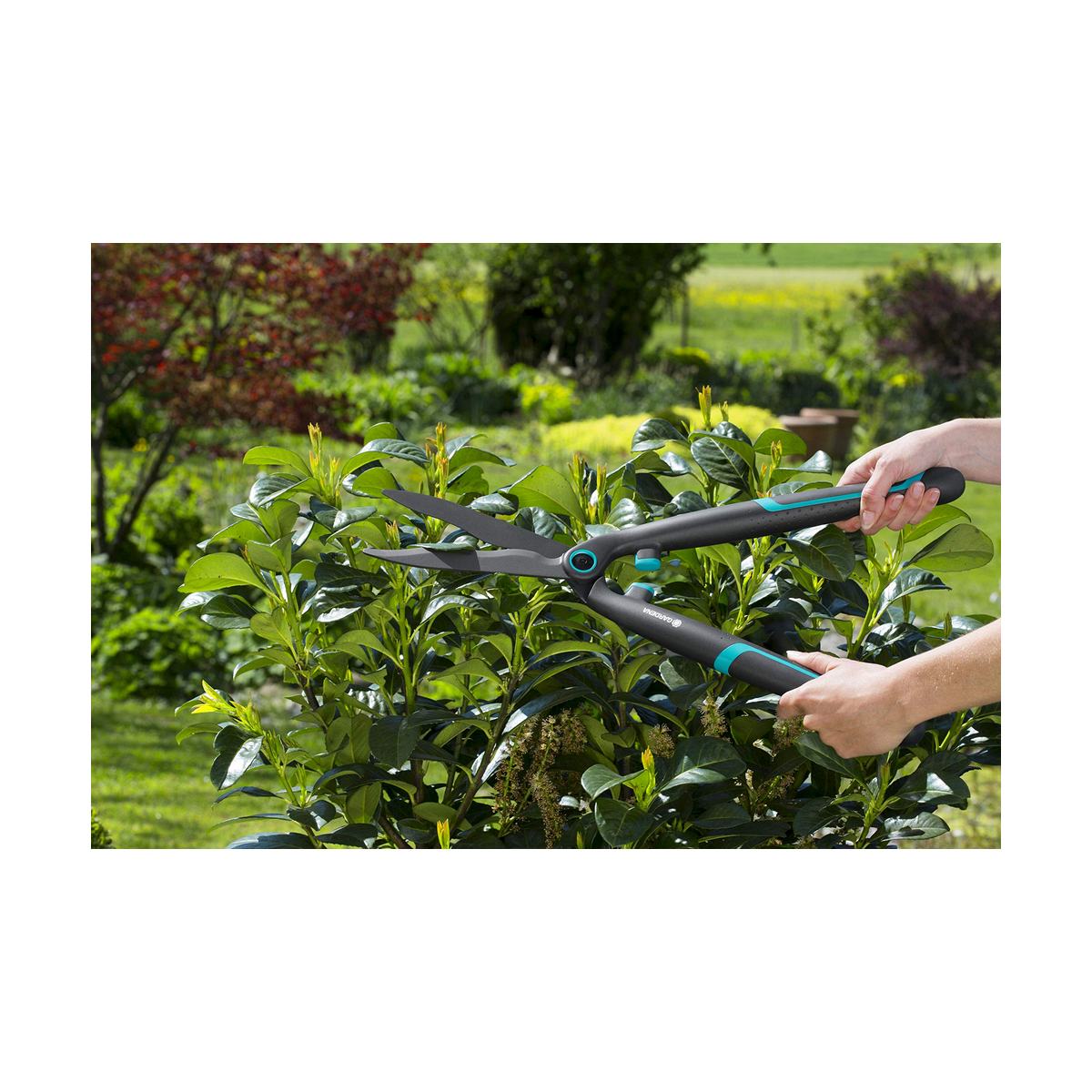Hedge trimmer Gardena easycut 12301-20-4