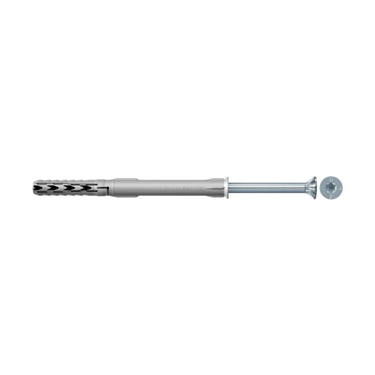 Espinhos Fischer sxr